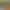 https://shared.akamai.steamstatic.com/store_item_assets/steam/apps/2499470/header.jpg?t=1740701307