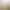 https://shared.akamai.steamstatic.com/store_item_assets/steam/apps/2499510/header.jpg?t=1747622838