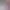 https://shared.akamai.steamstatic.com/store_item_assets/steam/apps/2499670/header.jpg?t=1750646849