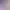 https://shared.akamai.steamstatic.com/store_item_assets/steam/apps/2499680/header.jpg?t=1750646987