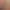 https://shared.akamai.steamstatic.com/store_item_assets/steam/apps/2499930/header.jpg?t=1733137129