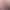 https://shared.akamai.steamstatic.com/store_item_assets/steam/apps/2509050/header.jpg?t=1743399217