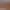 https://shared.akamai.steamstatic.com/store_item_assets/steam/apps/2514390/header.jpg?t=1732999571