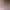 https://shared.akamai.steamstatic.com/store_item_assets/steam/apps/2514850/header.jpg?t=1747045686