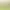 https://shared.akamai.steamstatic.com/store_item_assets/steam/apps/251870/header.jpg?t=1748835260