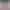 https://shared.akamai.steamstatic.com/store_item_assets/steam/apps/251990/header.jpg?t=1736618263