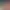 https://shared.akamai.steamstatic.com/store_item_assets/steam/apps/2521550/header.jpg?t=1711560771