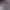 https://shared.akamai.steamstatic.com/store_item_assets/steam/apps/2524400/header.jpg?t=1750730388