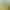 https://shared.akamai.steamstatic.com/store_item_assets/steam/apps/2525310/31d94b7861f47e10afdba4be98abc58f42f9c12e/header.jpg?t=1750777479