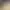 https://shared.akamai.steamstatic.com/store_item_assets/steam/apps/2526610/header.jpg?t=1695993442
