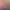 https://shared.akamai.steamstatic.com/store_item_assets/steam/apps/253610/header.jpg?t=1733326420
