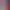 https://shared.akamai.steamstatic.com/store_item_assets/steam/apps/2536330/header.jpg?t=1710088751