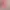 https://shared.akamai.steamstatic.com/store_item_assets/steam/apps/2539910/header.jpg?t=1734772263