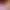 https://shared.akamai.steamstatic.com/store_item_assets/steam/apps/2541470/header.jpg?t=1692840991