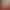 https://shared.akamai.steamstatic.com/store_item_assets/steam/apps/2542560/header.jpg?t=1734035112