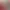 https://shared.akamai.steamstatic.com/store_item_assets/steam/apps/2543040/header.jpg?t=1705367617