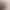https://shared.akamai.steamstatic.com/store_item_assets/steam/apps/2544110/header.jpg?t=1748882951