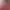 Color of My Sound - Volume 1.