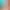 https://shared.akamai.steamstatic.com/store_item_assets/steam/apps/2550140/header.jpg?t=1743600034