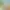https://shared.akamai.steamstatic.com/store_item_assets/steam/apps/2552310/header.jpg?t=1749020370