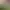 https://shared.akamai.steamstatic.com/store_item_assets/steam/apps/2555220/header.jpg?t=1731686460