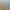 https://shared.akamai.steamstatic.com/store_item_assets/steam/apps/2555780/header.jpg?t=1717418289