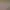 https://shared.akamai.steamstatic.com/store_item_assets/steam/apps/2557630/header.jpg?t=1748935452