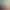 https://shared.akamai.steamstatic.com/store_item_assets/steam/apps/2559820/header.jpg?t=1713194499