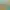 https://shared.akamai.steamstatic.com/store_item_assets/steam/apps/2561180/header.jpg?t=1705481784