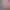 https://shared.akamai.steamstatic.com/store_item_assets/steam/apps/2569560/header.jpg?t=1706119981