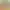 https://shared.akamai.steamstatic.com/store_item_assets/steam/apps/2573490/header.jpg?t=1712925915