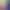 Dux Solaris.