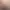 https://shared.akamai.steamstatic.com/store_item_assets/steam/apps/258090/header.jpg?t=1743542576