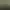 99 Spirits.