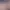 https://shared.akamai.steamstatic.com/store_item_assets/steam/apps/2581530/header.jpg?t=1695258928