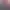 https://shared.akamai.steamstatic.com/store_item_assets/steam/apps/2587780/header.jpg?t=1740732232