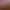 https://shared.akamai.steamstatic.com/store_item_assets/steam/apps/2603210/header.jpg?t=1734034994