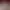 https://shared.akamai.steamstatic.com/store_item_assets/steam/apps/2608570/header.jpg?t=1732121273