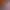 https://shared.akamai.steamstatic.com/store_item_assets/steam/apps/2609150/header.jpg?t=1699261029