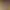 https://shared.akamai.steamstatic.com/store_item_assets/steam/apps/2615950/header.jpg?t=1715072894