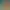 https://shared.akamai.steamstatic.com/store_item_assets/steam/apps/2617440/header.jpg?t=1696544395