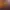https://shared.akamai.steamstatic.com/store_item_assets/steam/apps/2618100/header.jpg?t=1704211268