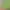 https://shared.akamai.steamstatic.com/store_item_assets/steam/apps/2619940/header.jpg?t=1749046352
