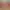 https://shared.akamai.steamstatic.com/store_item_assets/steam/apps/2621380/header.jpg?t=1709731129