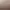 https://shared.akamai.steamstatic.com/store_item_assets/steam/apps/2624230/header.jpg?t=1725607245