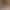 https://shared.akamai.steamstatic.com/store_item_assets/steam/apps/2626780/header.jpg?t=1715343380