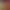 https://shared.akamai.steamstatic.com/store_item_assets/steam/apps/2632490/header.jpg?t=1722880826