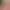 https://shared.akamai.steamstatic.com/store_item_assets/steam/apps/2632660/header.jpg?t=1746553335
