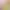 https://shared.akamai.steamstatic.com/store_item_assets/steam/apps/2633950/header.jpg?t=1732122113