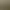 Я припрятал юрких кошечек 8.